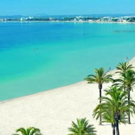 Ferrer Alcudia (Mallorca)